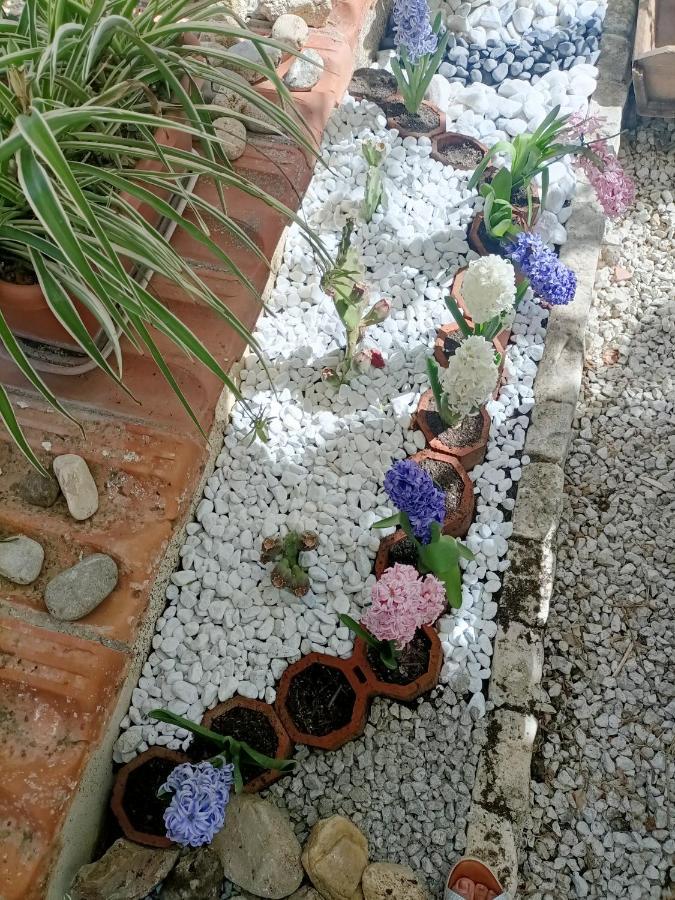Bed and Breakfast La Casa In Pietra Santa Caterina Villarmosa Exterior foto